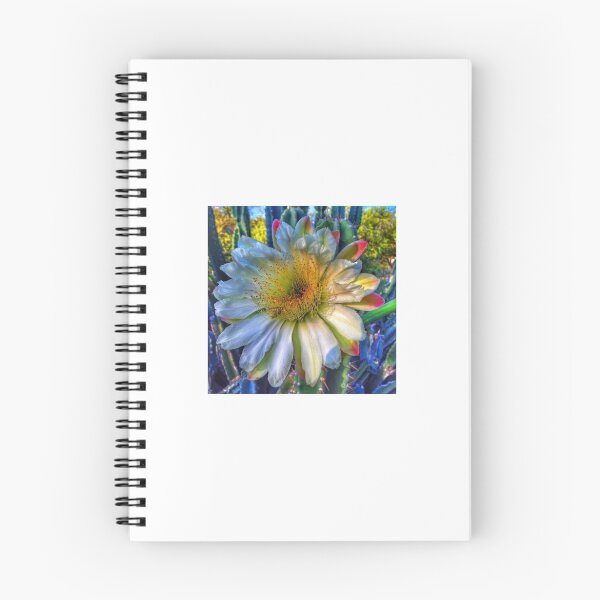 Item preview, Morning Splendor, Tucson Arizona designed and sold by Terry Temple.