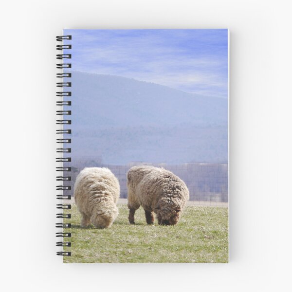 Item preview, Two Sheep designed and sold by webster7.