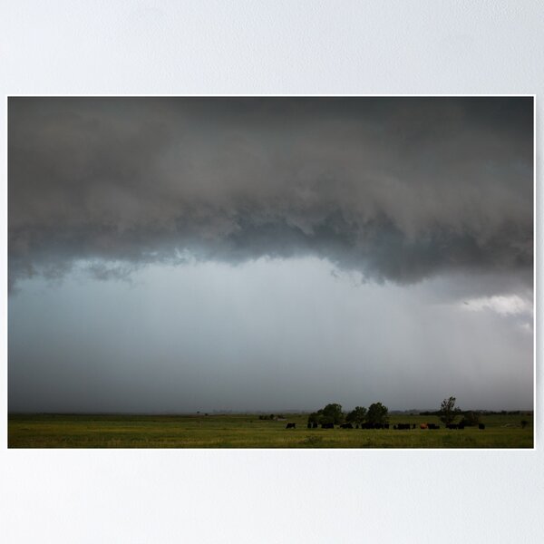 Item preview, Stormy Kansas Sky with Cows designed and sold by Suz Garten.