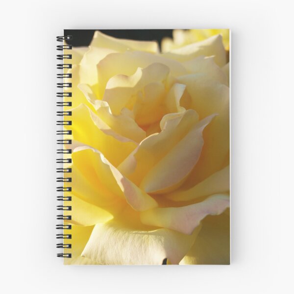 Item preview, Soft Sunny Petals designed and sold by RJBPhotoDesign.