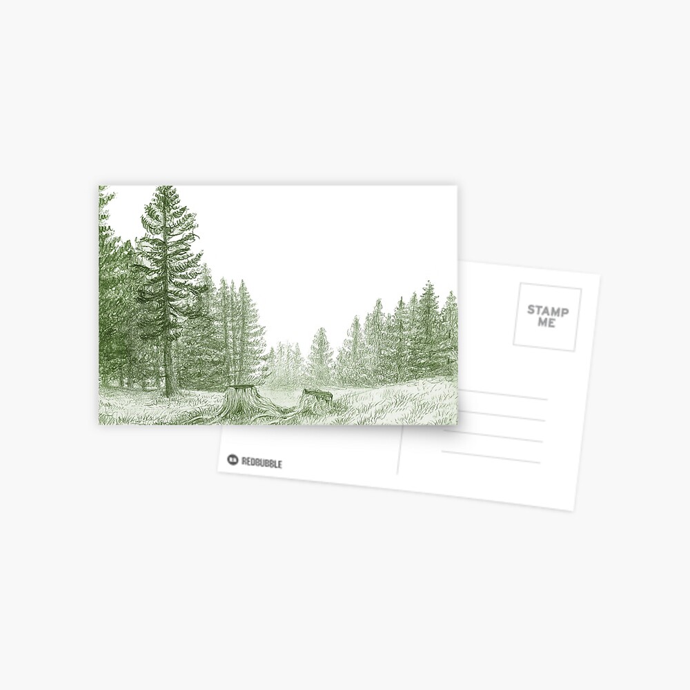 "Shinrin Yoku" Postcard