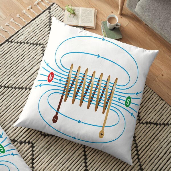 #Electromagnetic #Coil #ElectromagneticField #Physics  Floor Pillow
