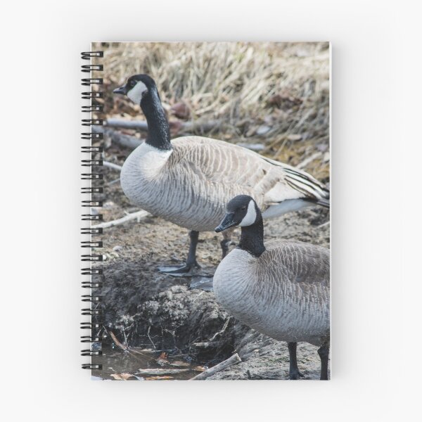 Item preview, Canada Geese  designed and sold by CanadianWild418.