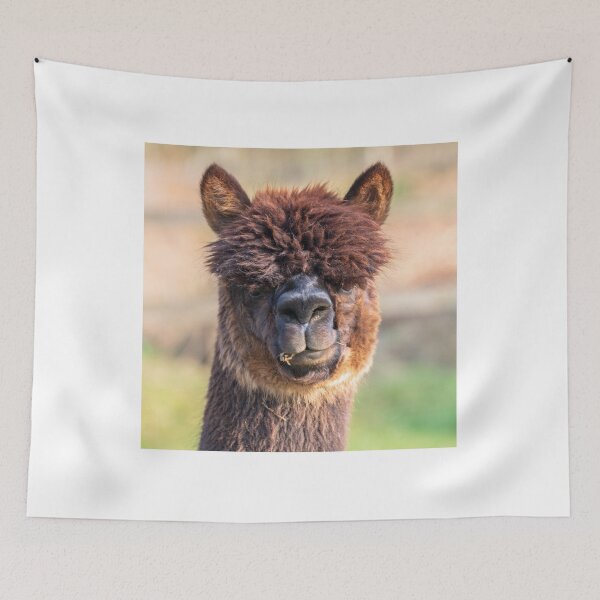 Item preview, Alpaca portrait - Cocoa  designed and sold by Chris Warham.