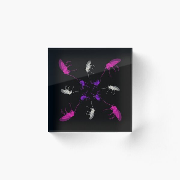 Spider fly Flower 1 Acrylic Block