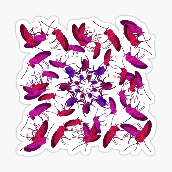 Spider fly Flower 2 Sticker