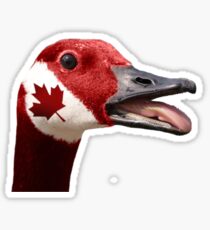 Canada Goose Sticker