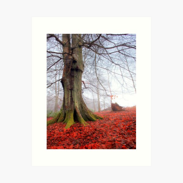 On the red carpet Art Print