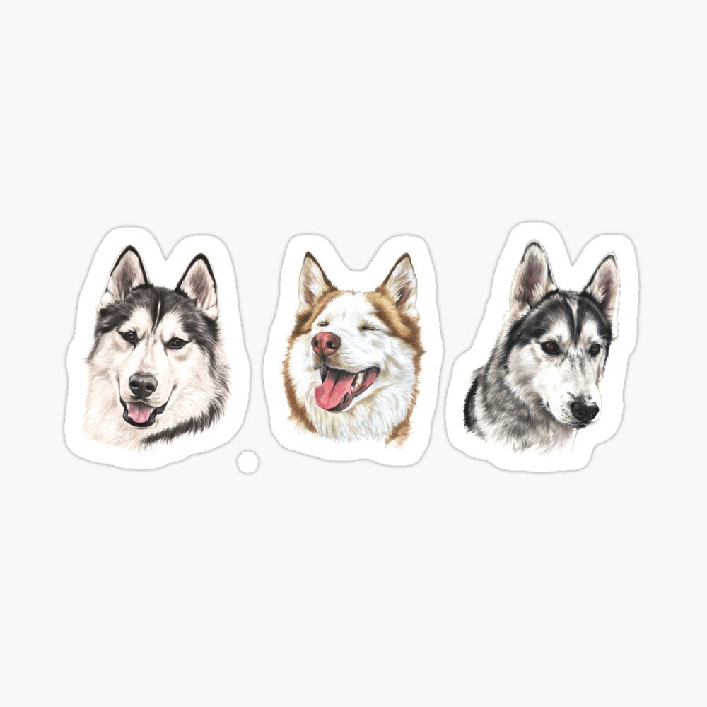 Husky trio iPhone Case