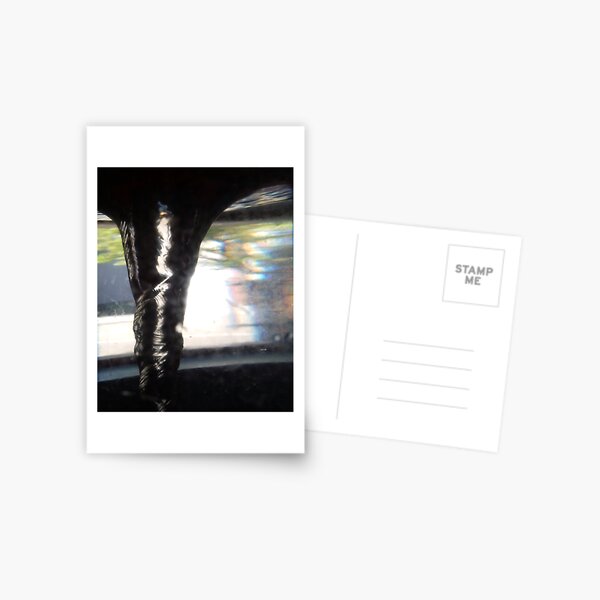 Swirling Silhouette Postcard