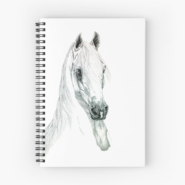 Aperçu de l'œuvre Cheval arabe créée et vendue par Jill Claire.