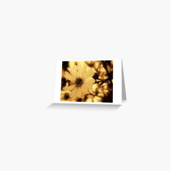La Fleur de Sol Greeting Card
