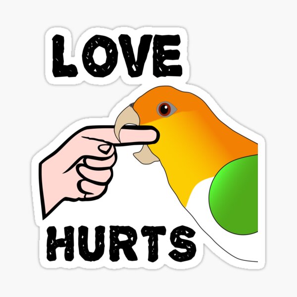 Love Hurts White Bellied Caique Parrot biting Sticker