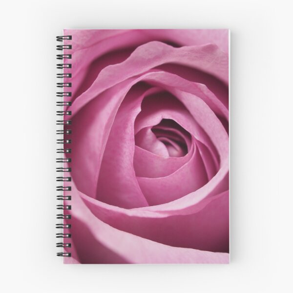 Item preview, Closeup Photography of Pink Rose Flower designed and sold by thed4rkestrose.