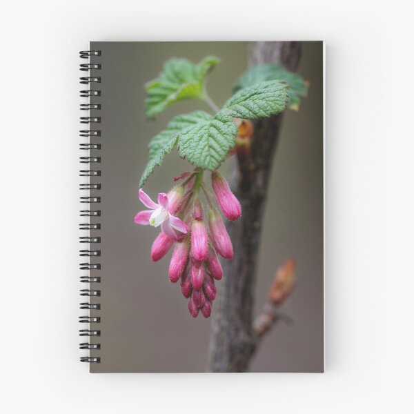 Item preview, White Tipped designed and sold by Tracy Friesen.