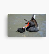 Cuddle Time Canvas Print