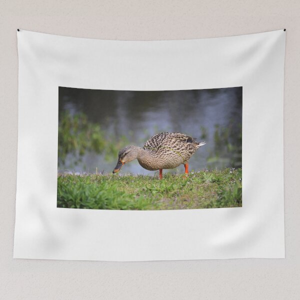 Item preview, Female Mallard Duck designed and sold by Cynthia48.
