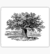 OAK TREE Sticker