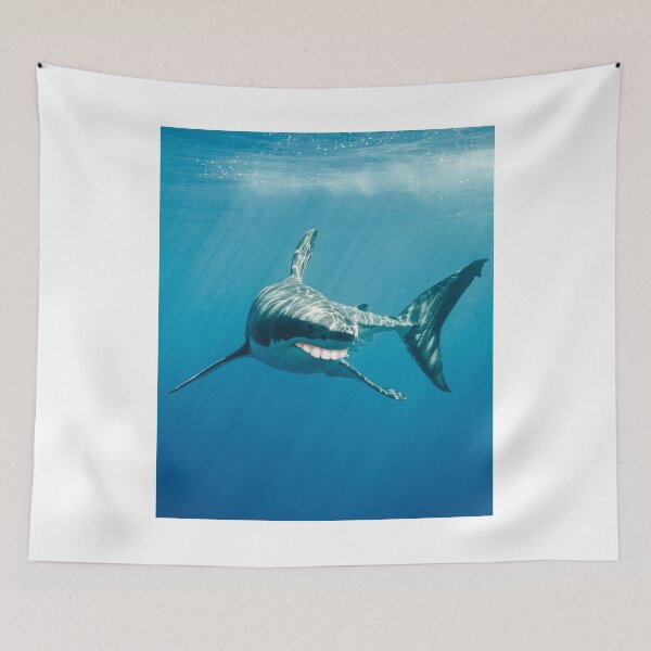 Item preview, Shark With Human productth Meme Funny Shark print designed and sold by banwa.