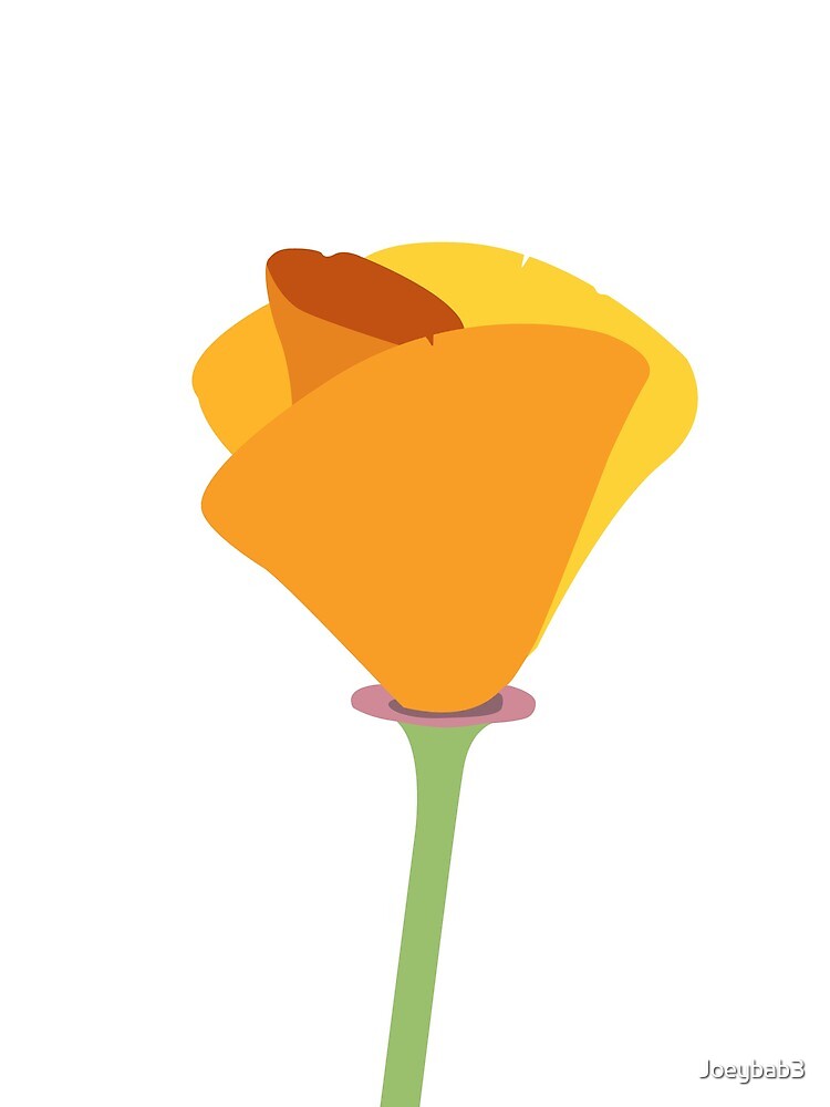 California Poppy Flower by Joeybab3