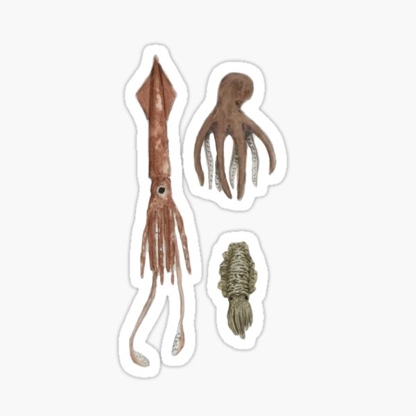 Item preview, Cephalopods designed and sold by inlustrxm.