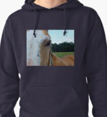 The Soul Of The Horse Pullover Hoodie