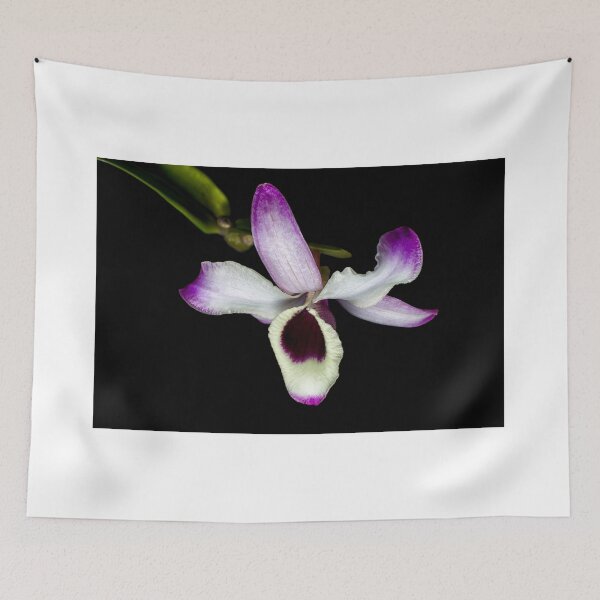 Item preview, Cattleya orchid  designed and sold by Barna   Tanko.