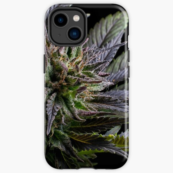 Marijuana bud  iPhone Tough Case