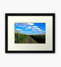 Cornfield Lane Framed Print