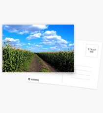Cornfield Lane Postcards