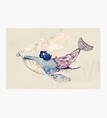 Pirate Whale Photographic Print