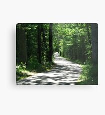 Summer Afternoon Walk Metal Print