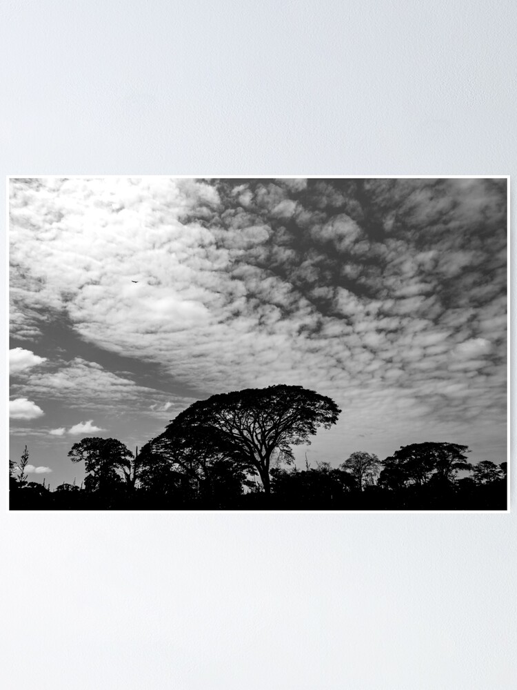 "black and white landscape" Poster for Sale by ricobarinas Redbubble