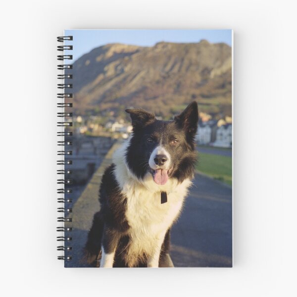 Item preview, "A Smile a day keeps the Vet away" designed and sold by Michael Haslam.