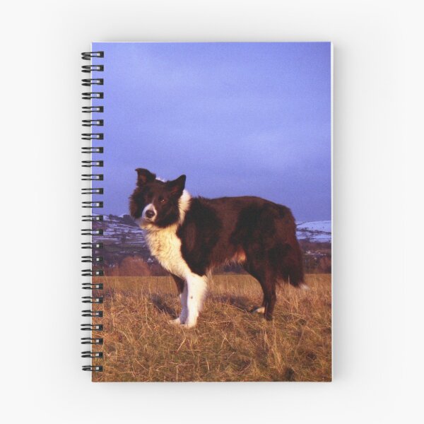 Item preview, For Freedom. designed and sold by Michael Haslam.