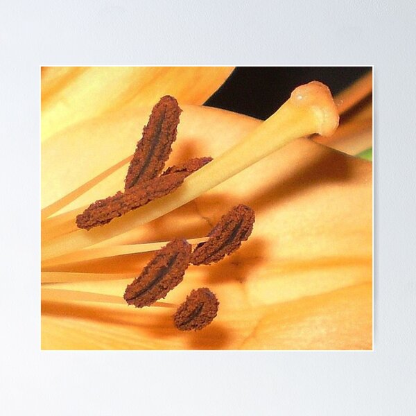 Item preview, Food for the Bees designed and sold by EdsMum.