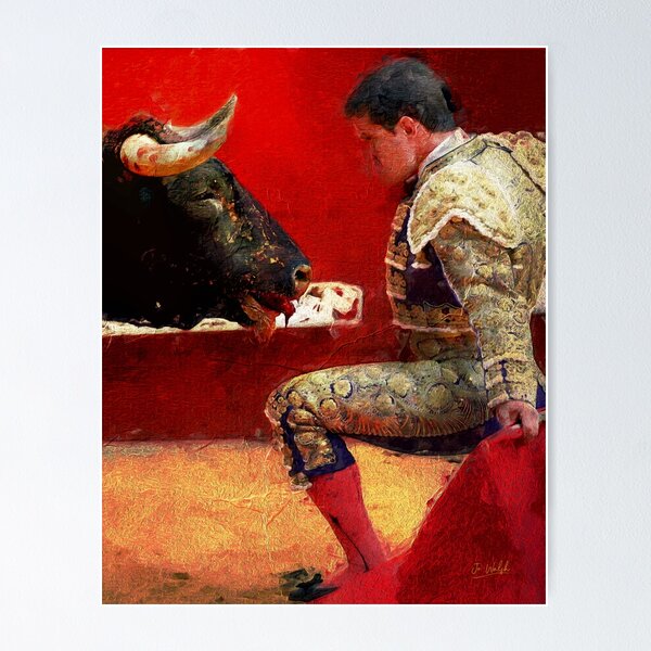 Mural Art, Glass Printing, Tempered Glass, hotsell Spanish Bullfighting Arena, Spanish Matador Wall Art, Bull Fight Glass Printing,