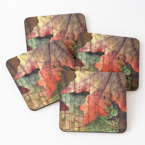Coasters