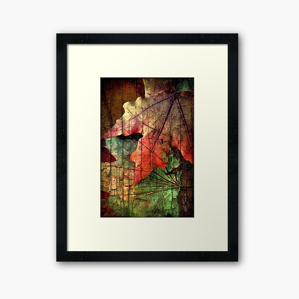Framed Print