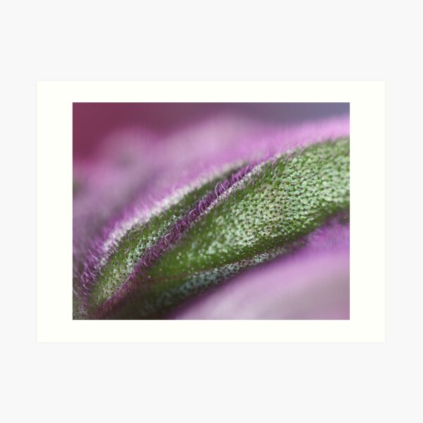 weird colours Art Print