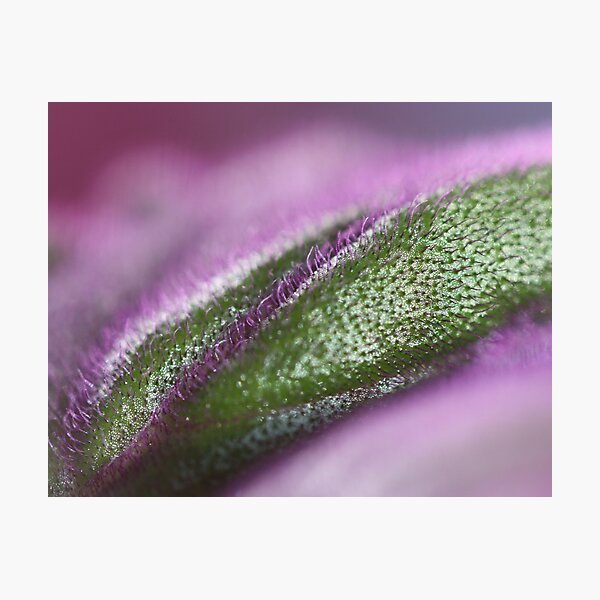weird colours Photographic Print