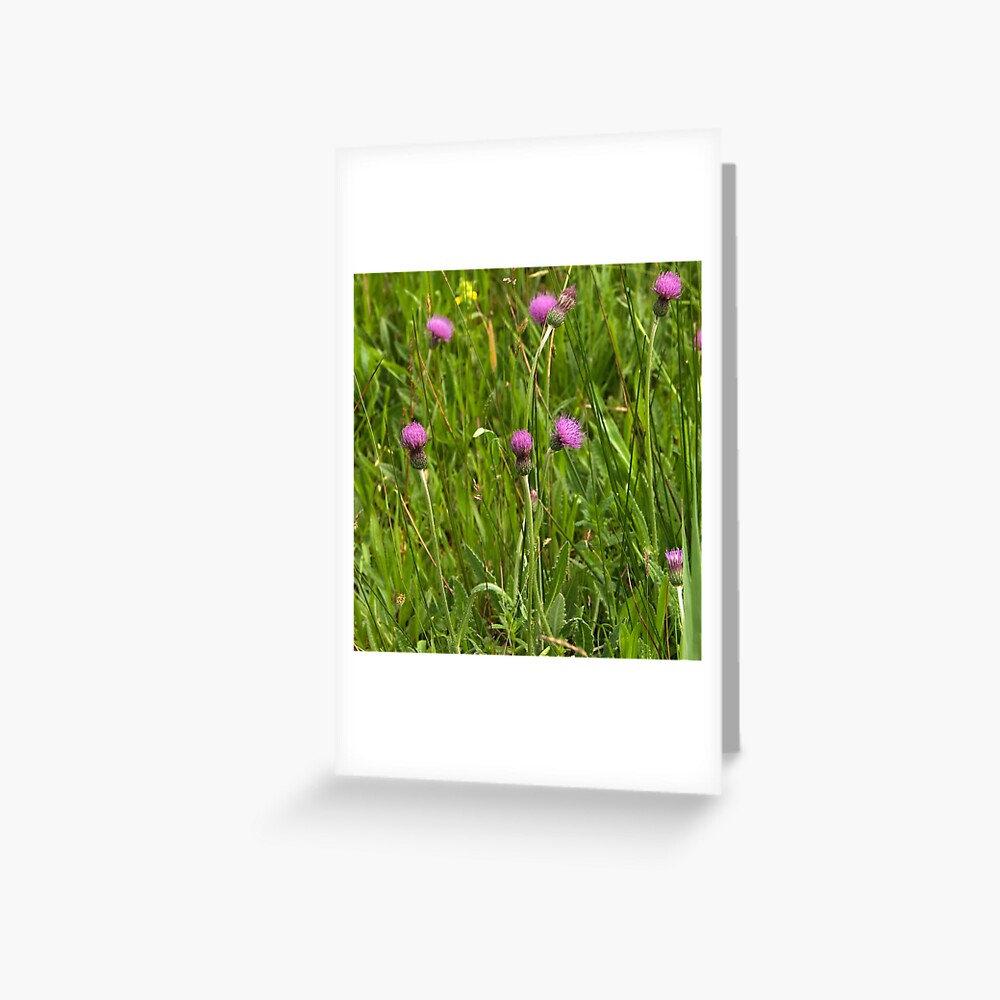 Item preview, Greeting Card designed and sold by steppeland.
