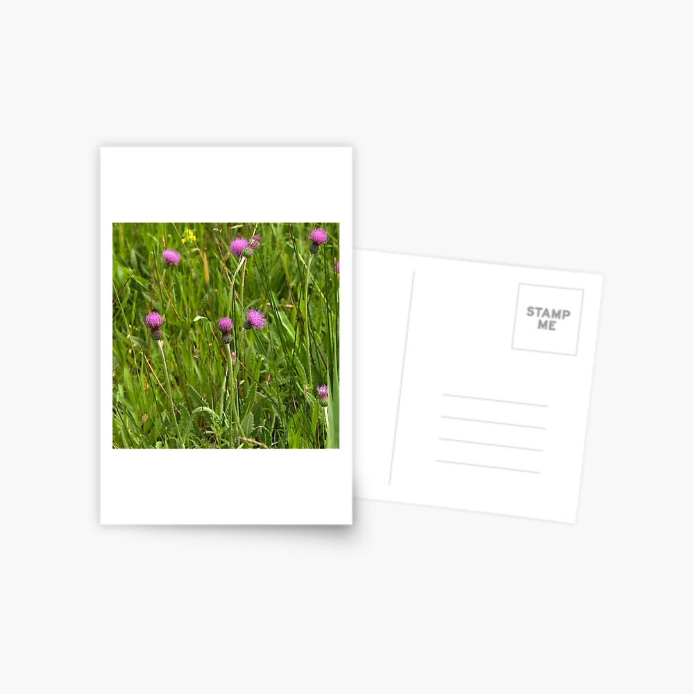 Item preview, Postcard designed and sold by steppeland.