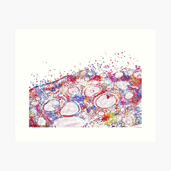 Item preview, Ovary histology, female reproductive system designed and sold by Rosaliartbook.