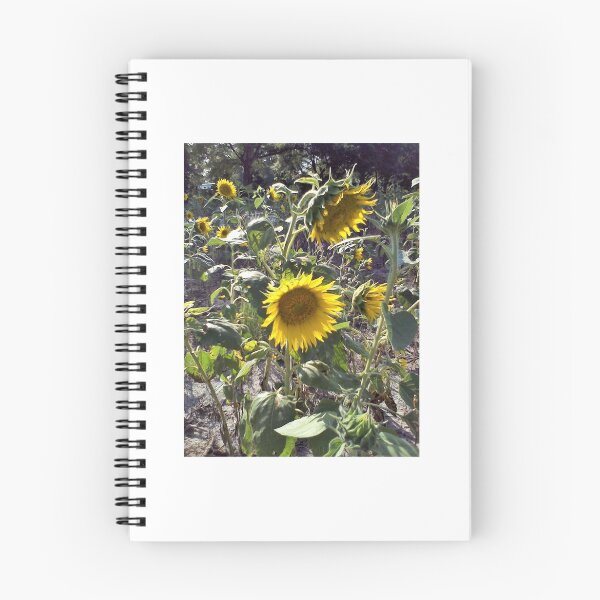 Item preview, Field of Sunflowers designed and sold by ladyji.