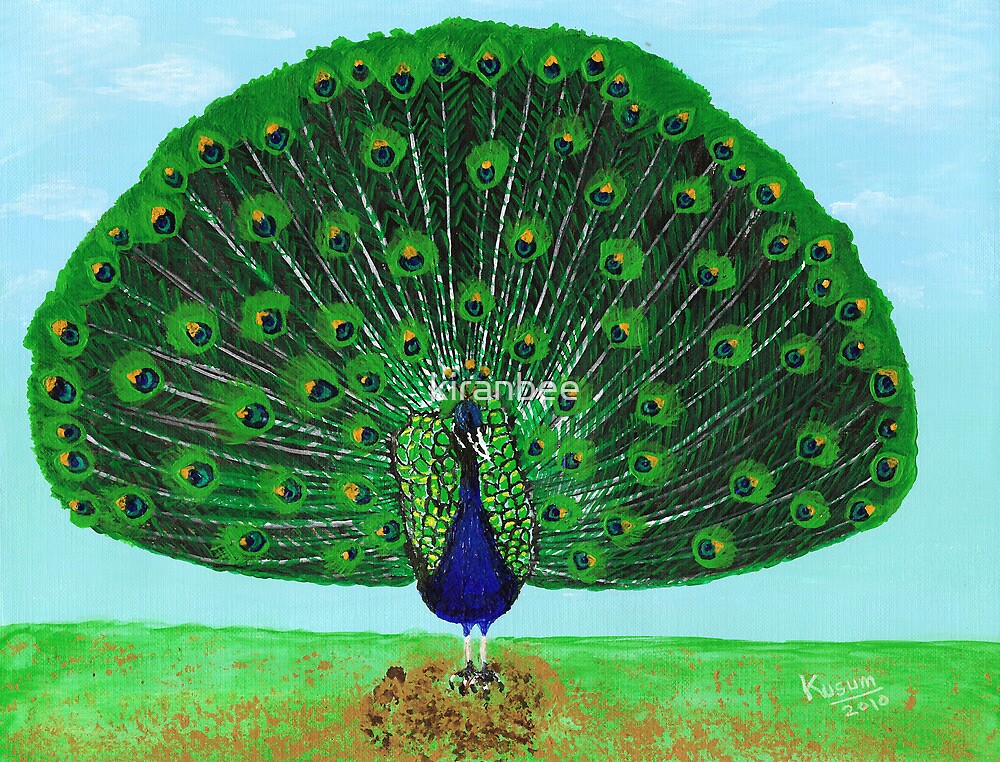 "Peacock- National Bird of India" by kiranbee | Redbubble