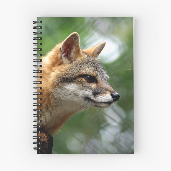 Item preview, contemplate designed and sold by pcfyi.