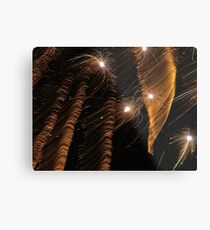 Fizgig Metal Print