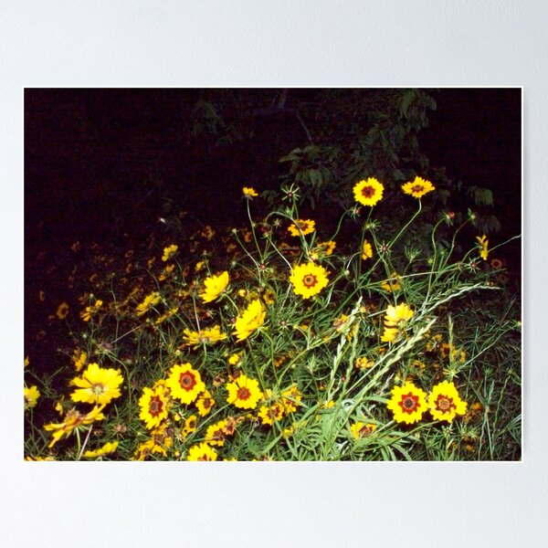 Hilly Flowers Poster