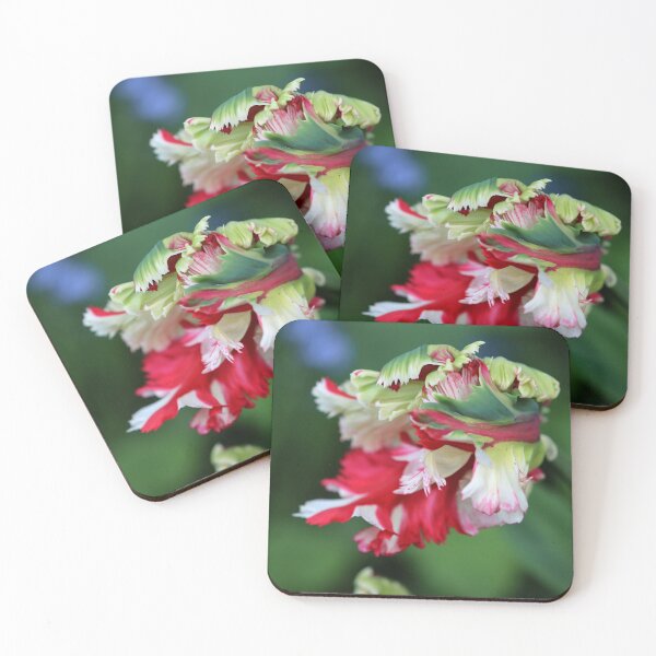 Item preview, Untidy Parrot designed and sold by cuprum.